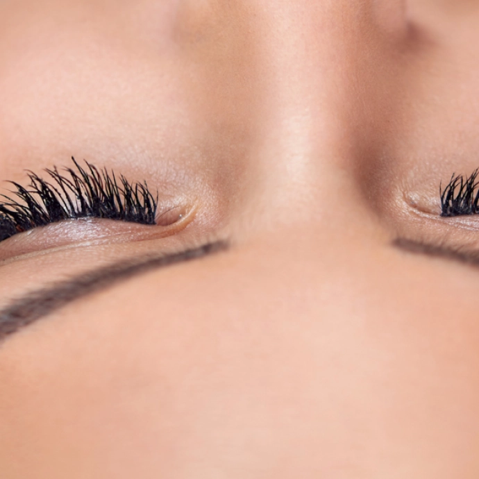 Brows & Lashes